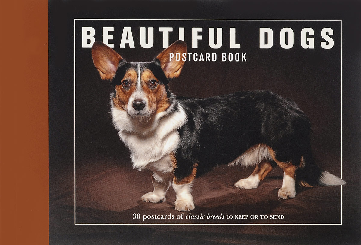 Beautiful Dogs: Postcard Book