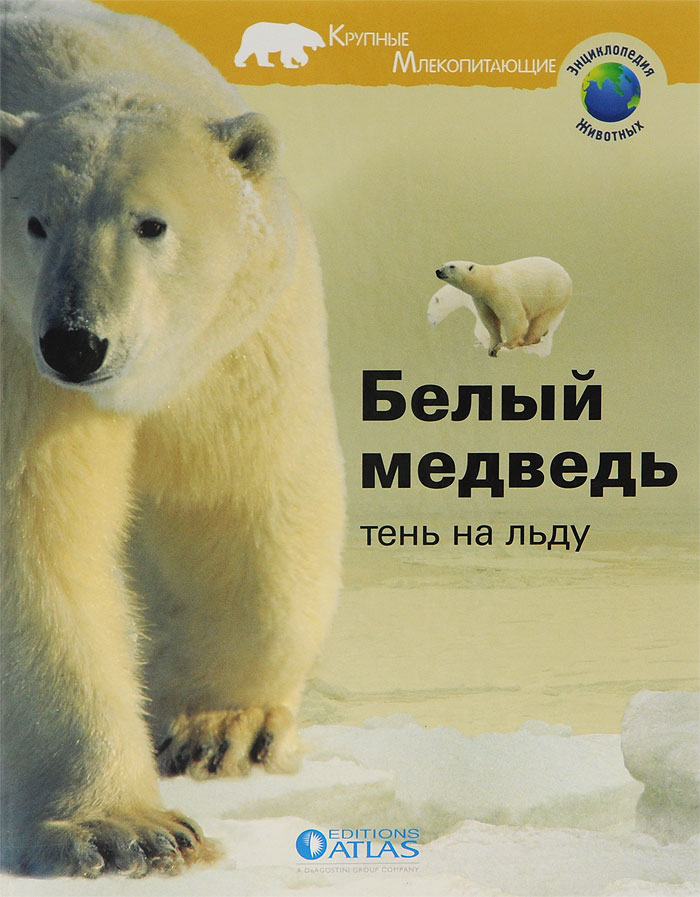 Белый медведь - тень на льду