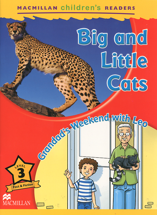 Big and Little Cats: Grandad's Weekend with Leo: Level 3