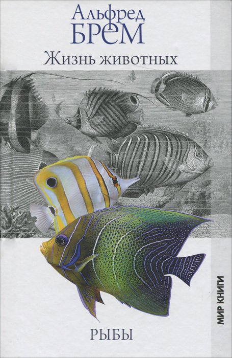 Жизнь животных. Рыбы.