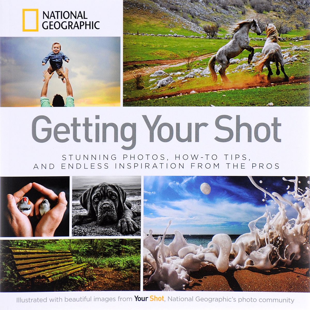 Getting Your Shot: Stunning Photos, How-to Tips, and Endless Inspiration From the Pros
