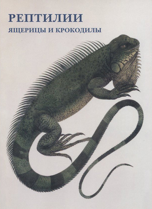 Рептилии. Ящерицы и крокодилы (набор из 15 открыток)