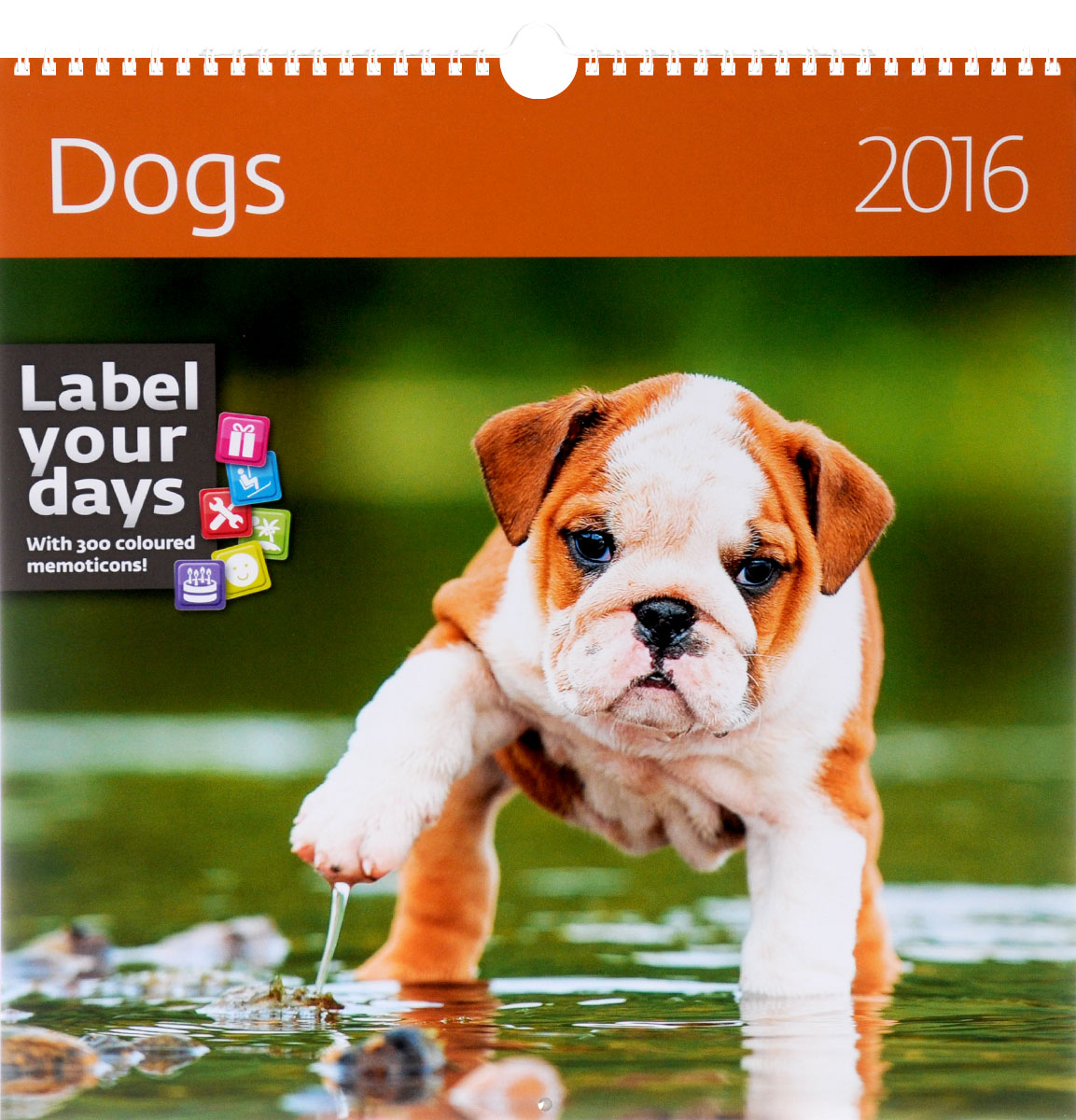 Календарь 2016 (на спирали). Dogs (+ наклейки)