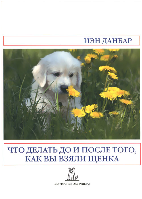 Что делать до и после того, как вы взяли щенка