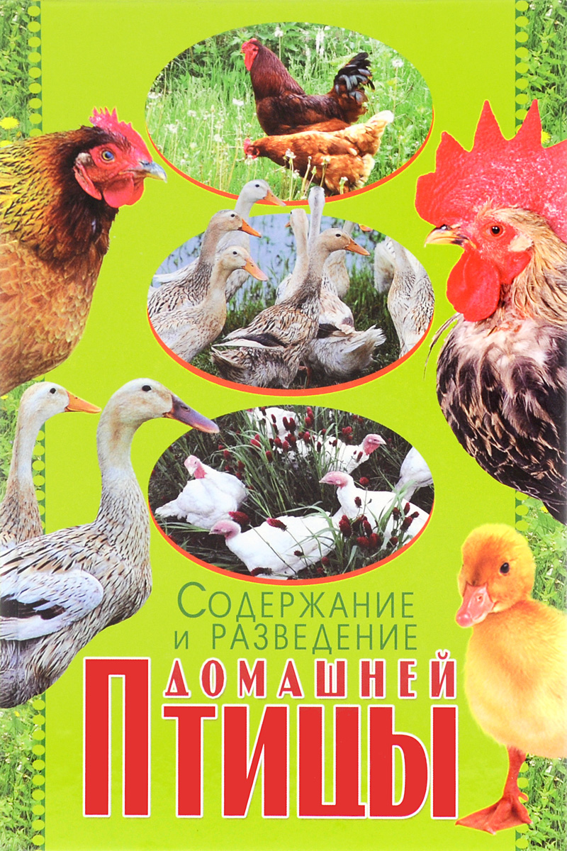 Содержание и разведение домашней птицы