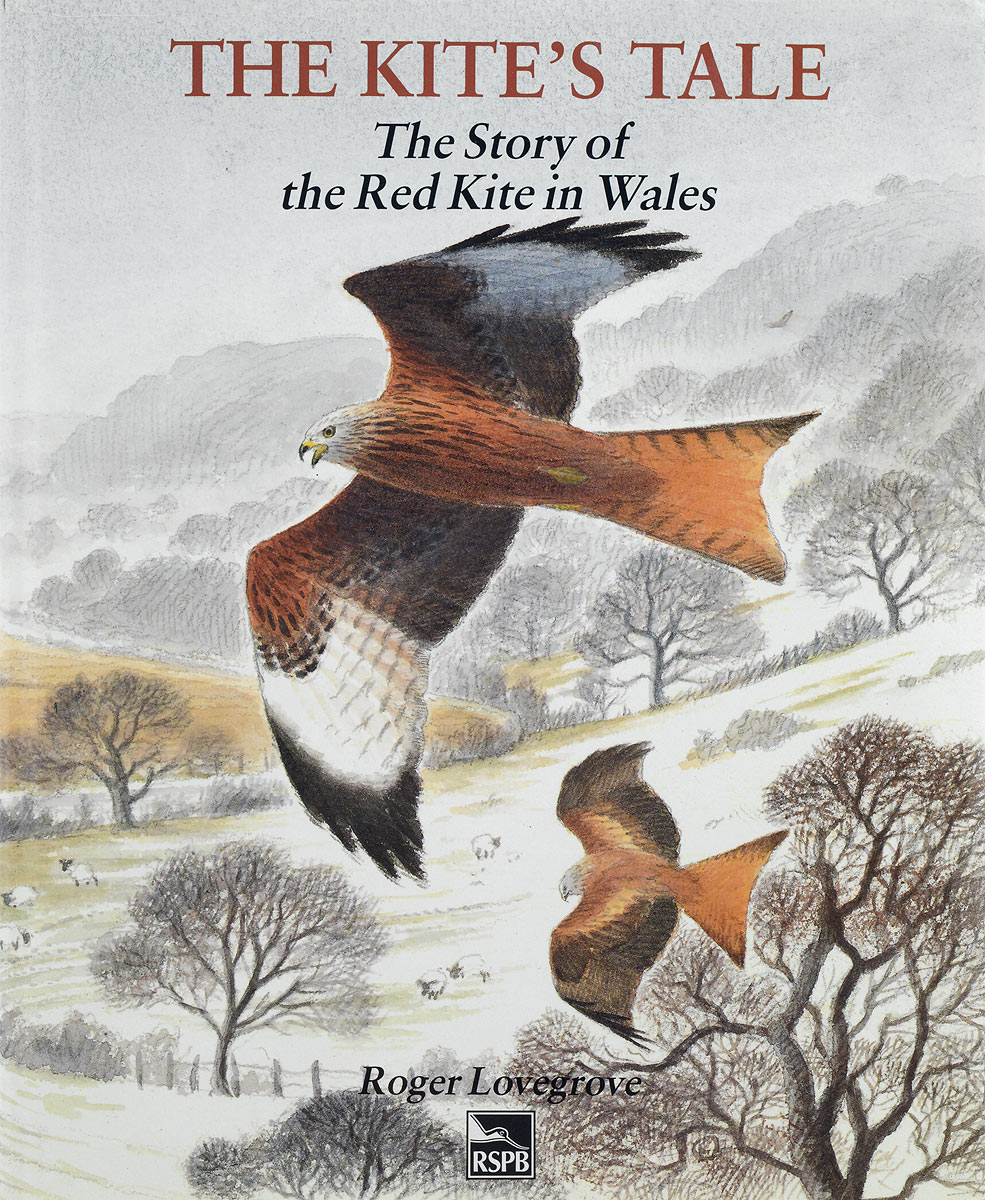The Kite's Tale: The Story of the Red Kite in Wales