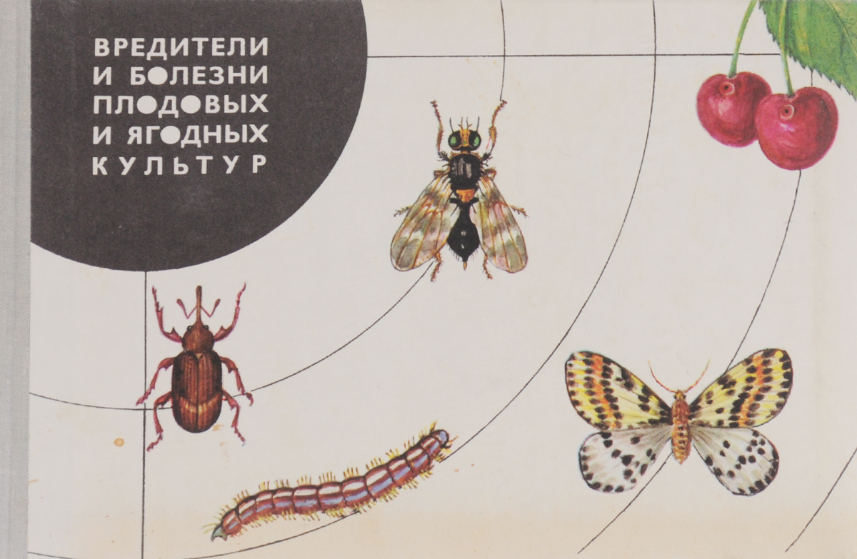 Вредители и болезни плодовых и ягодных культур Вредители и болезни плодовых и ягодных культур