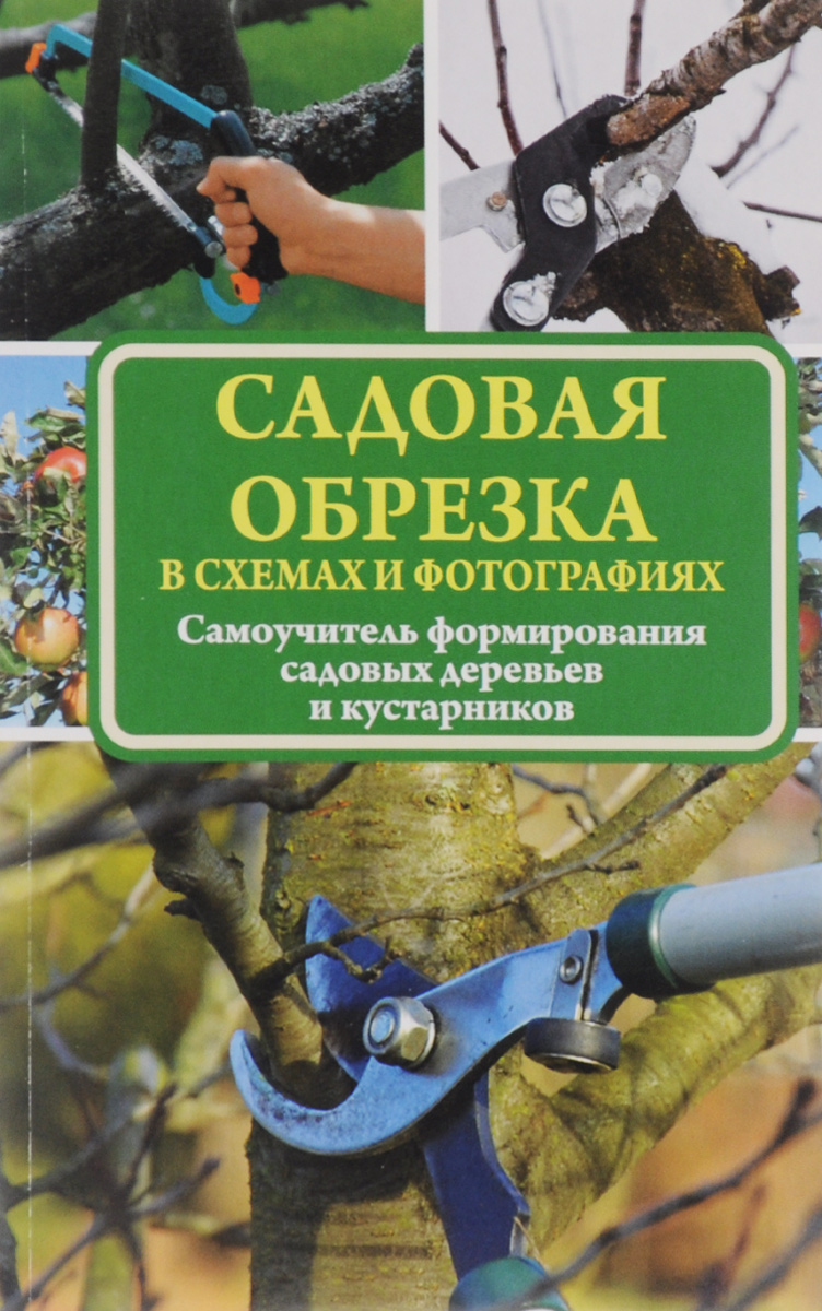 Садовая обрезка в схемах и фотографиях. Самоучитель формирования садовых деревьев и кустарников Садовая обрезка в схемах и фотографиях. Самоучитель формирования садовых деревьев и кустарников