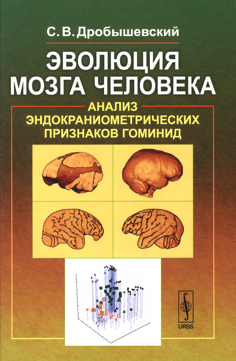 Эволюция мозга человека. Анализ эндокраниометрических признаков гоминид