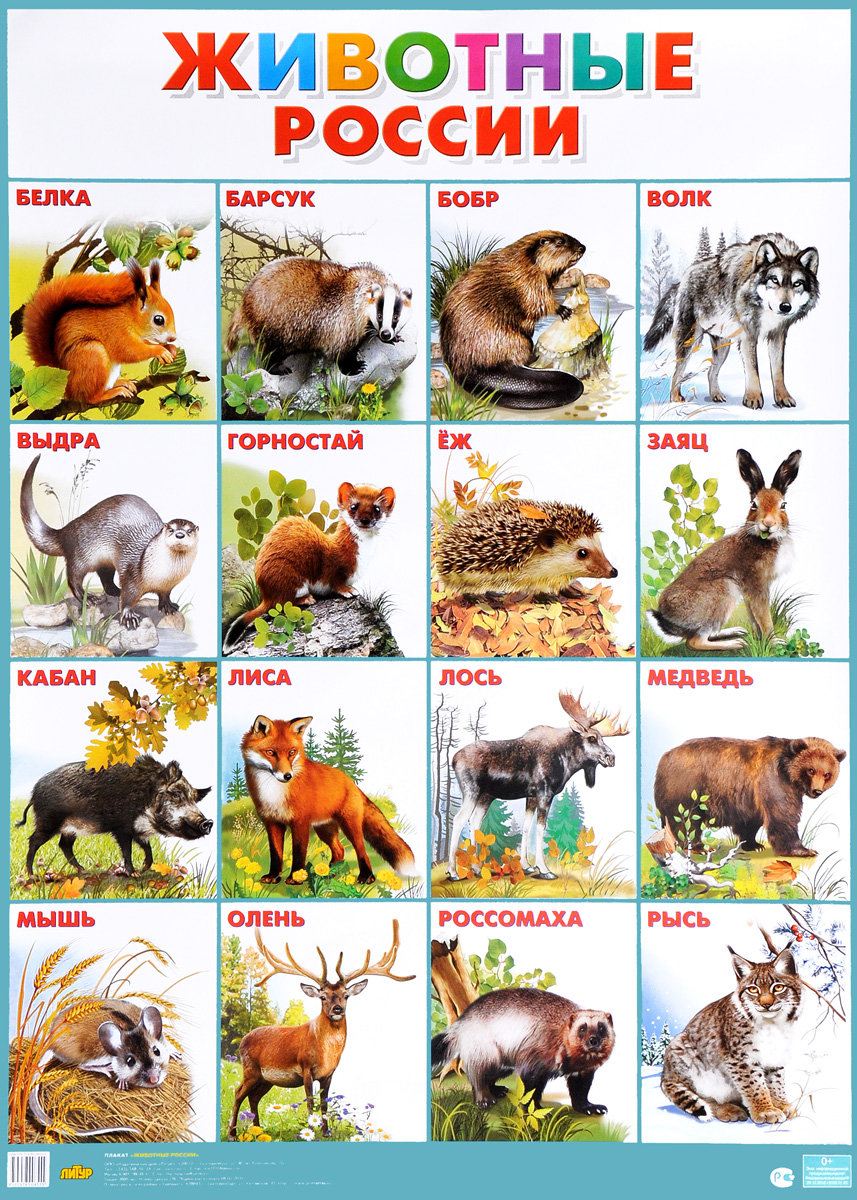 Животные России. Плакат