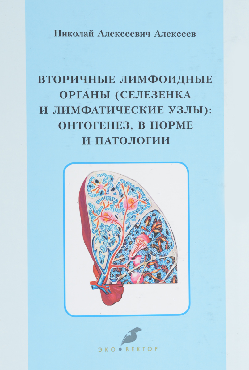 Вторичные лимфоидные органы (селезенка и лимфатические узлы ) : онтогенез, в норме и патологии