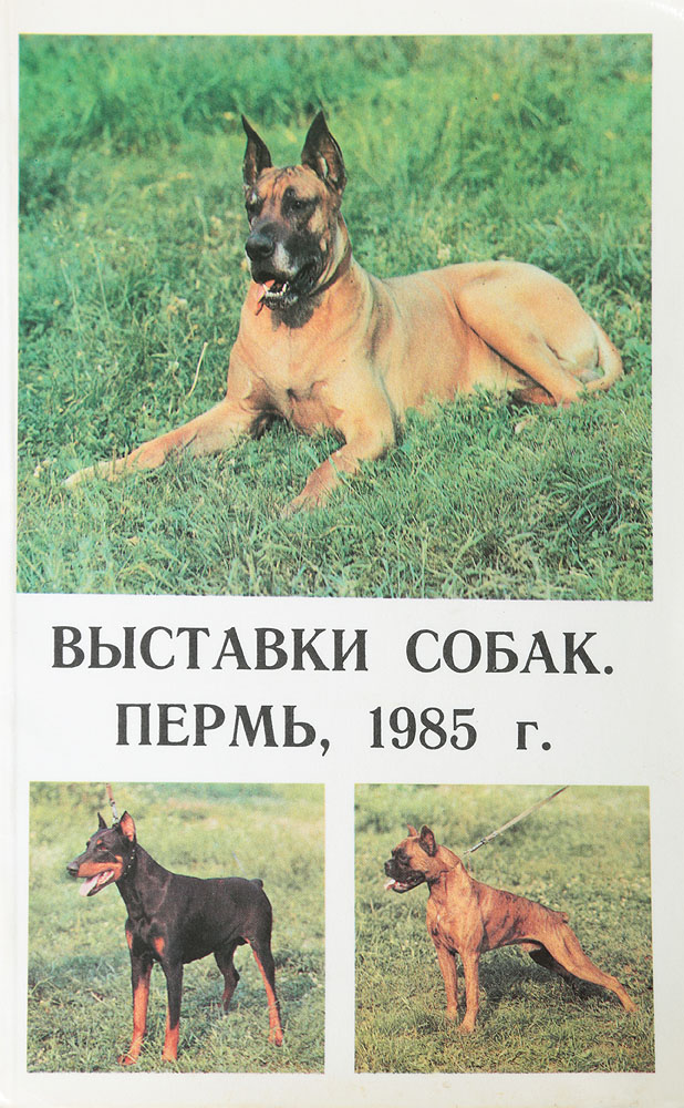 Выставки собак. Пермь, 1985