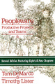 �����: Peopleware: Productive Projects and Teams