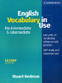 English Vocabulary in Use: Pre-Intermediate & Intermediate