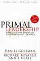 Primal Leadership: Realizing the Power of Emotional Intelligence