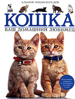 Кошка. Ваш домашний любимец