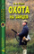 Охота на зайцев