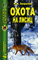 Охота на лисиц