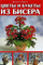 ��������� ������ ����� � ������ �� ������ Foiri e bonsai di perline