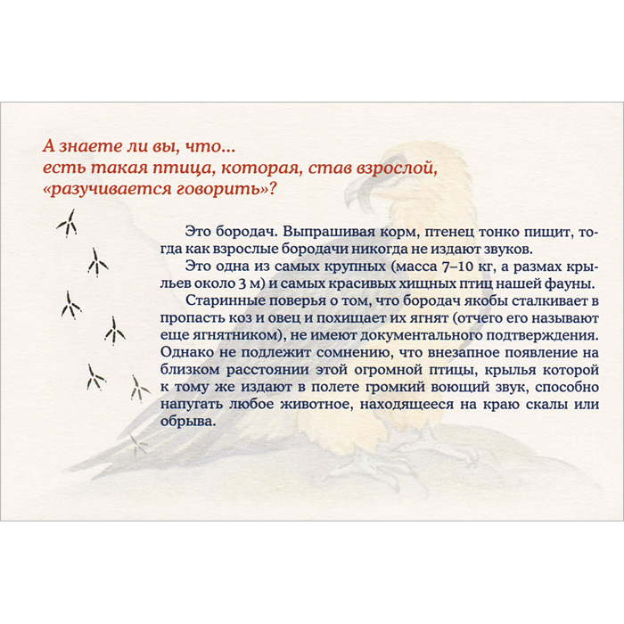 Птички и их привычки. А знаете ли вы? (набор из 30 карточек)