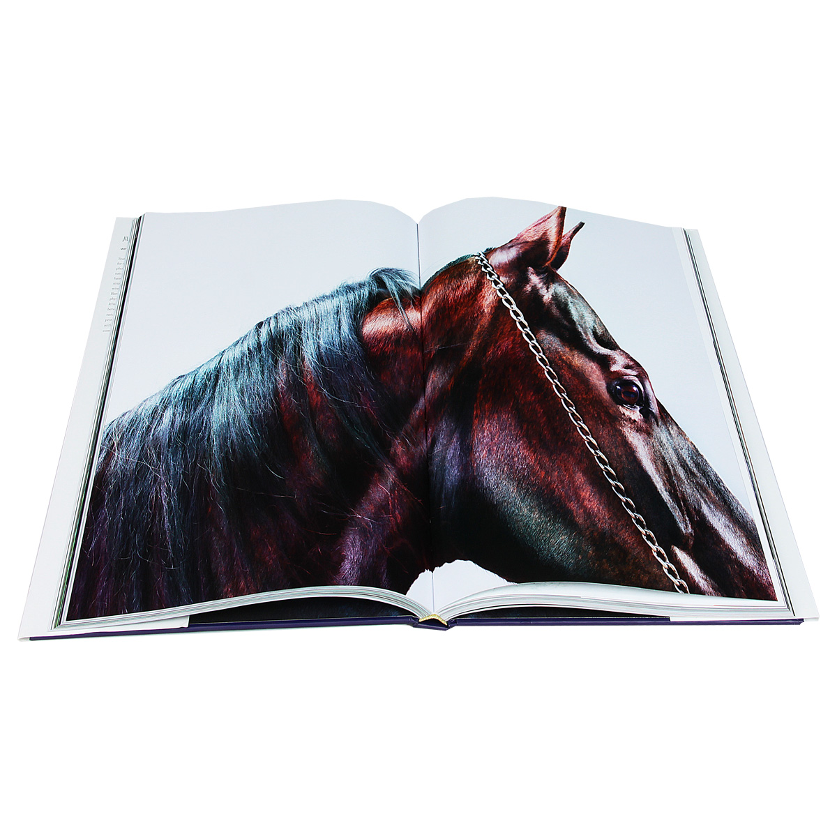 Horses