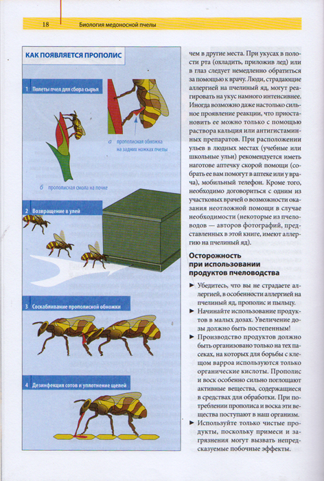 Советы опытного пчеловода. Фридрих Поль Советы опытного пчеловода. Фридрих Поль