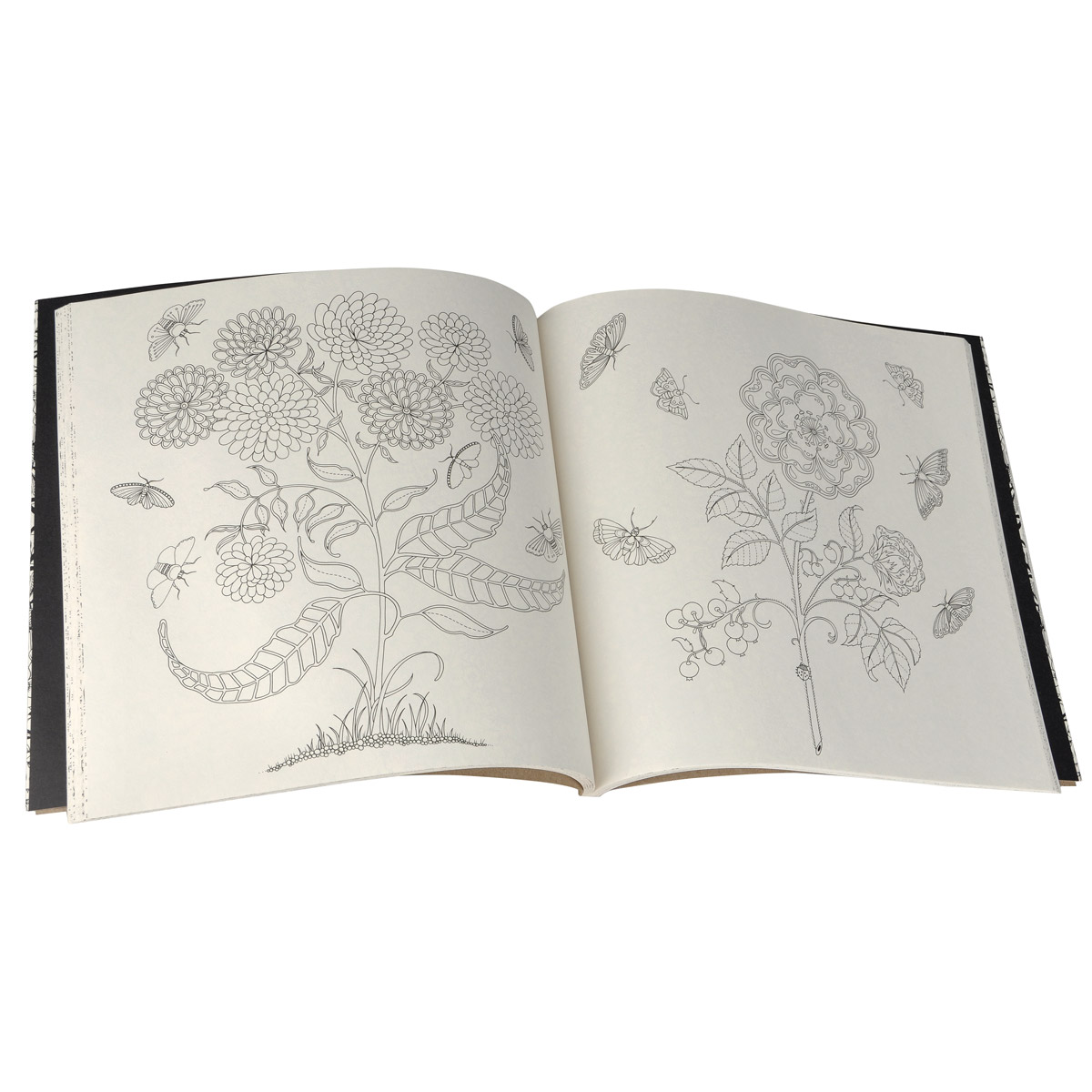 Secret Garden: An Inky Treasure Hunt and Coloring Book