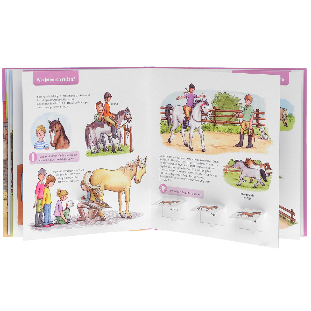 Was steckt dahinter? Pferde & Ponys Was steckt dahinter? Pferde & Ponys