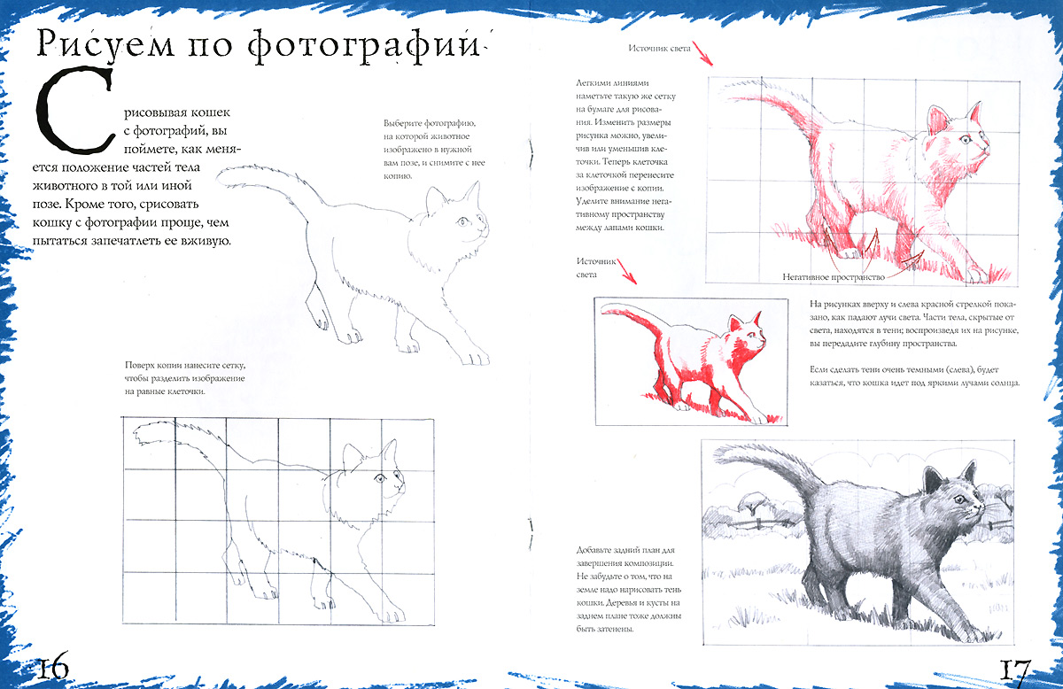 Кошки и котята. Тематические уроки