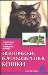 Экзотические короткошерстные кошки. Стандарты. Содержание. Разведение. Профилактика заболеваний