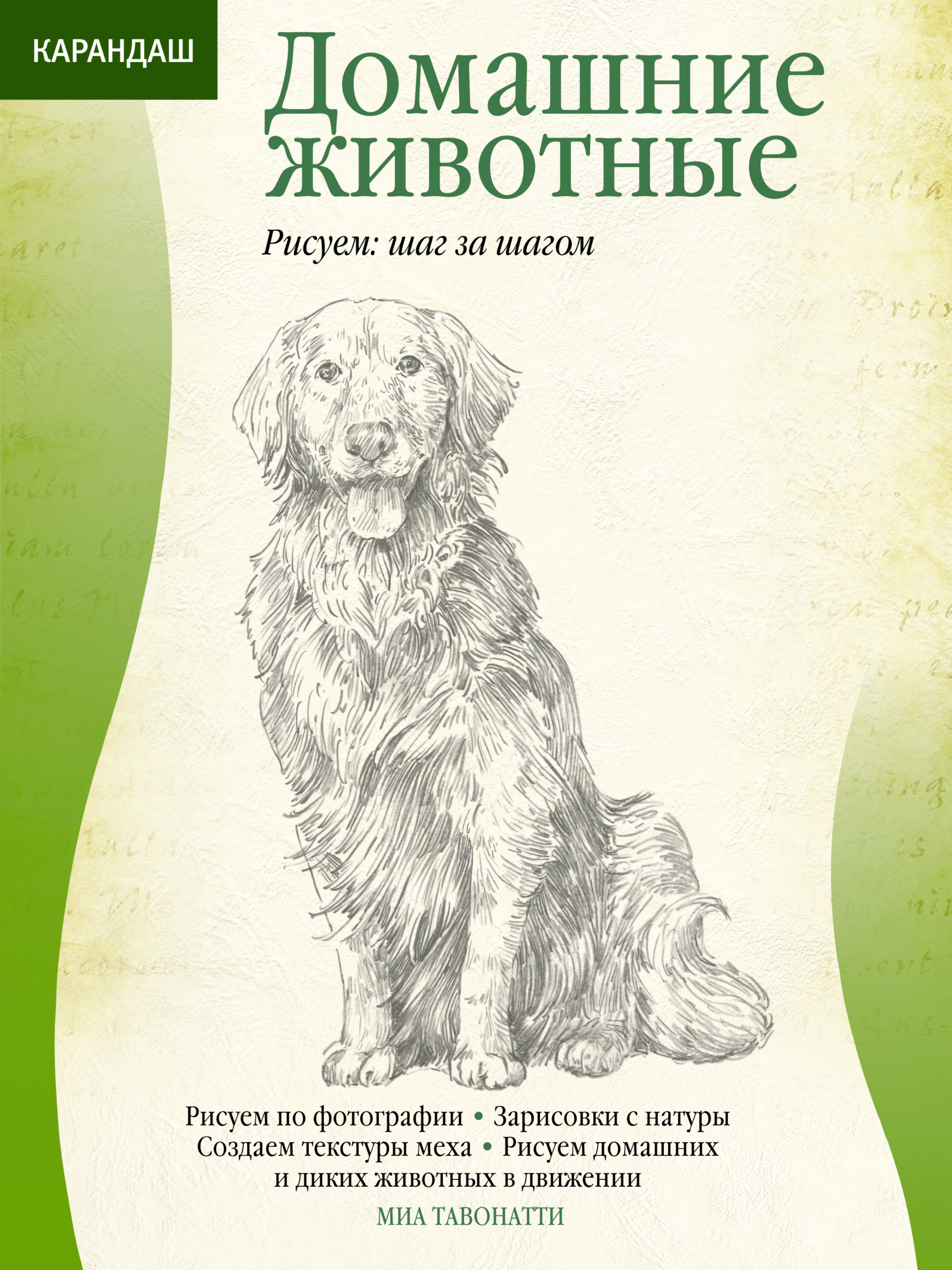 Домашние животные