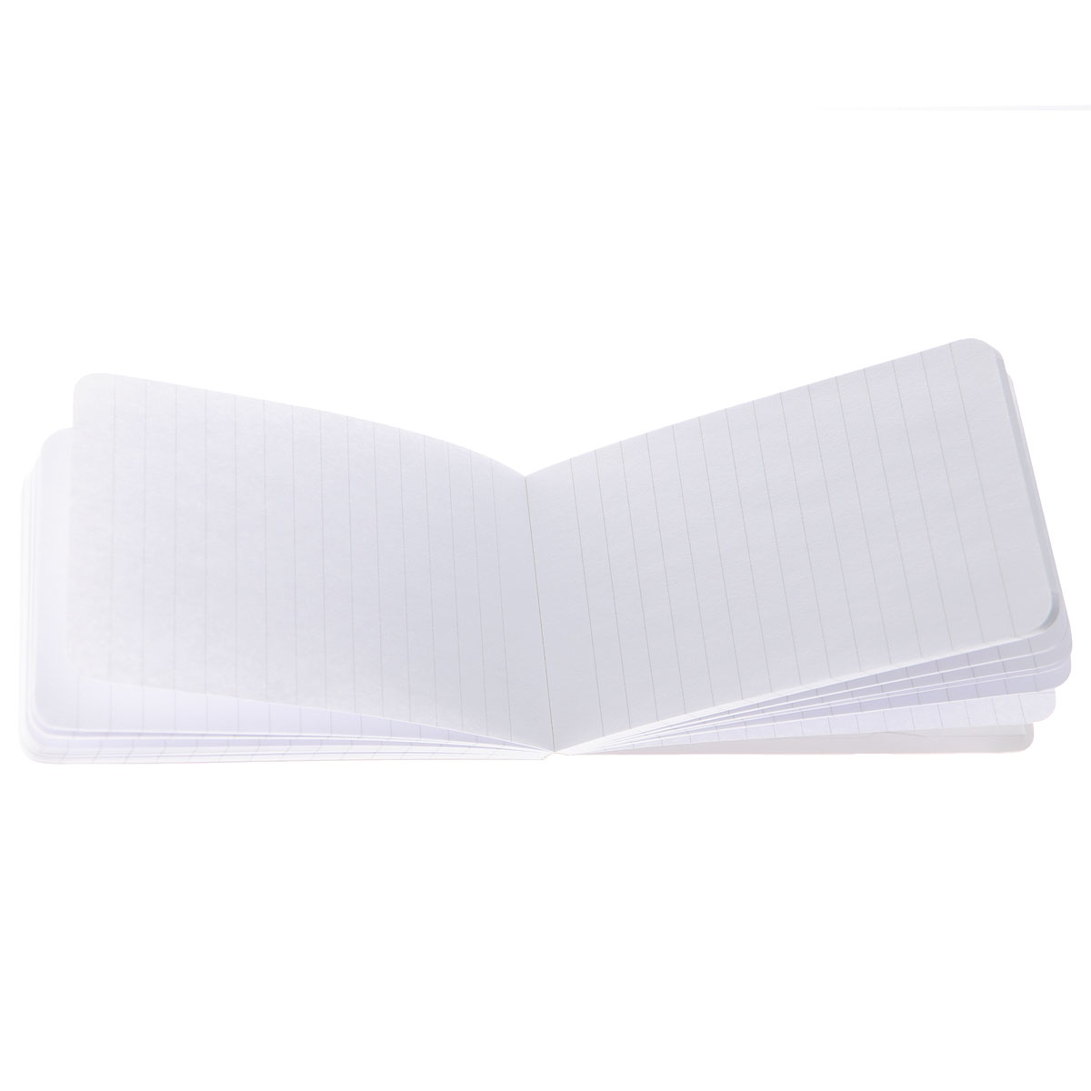 Mini Journals: The Big Apple
