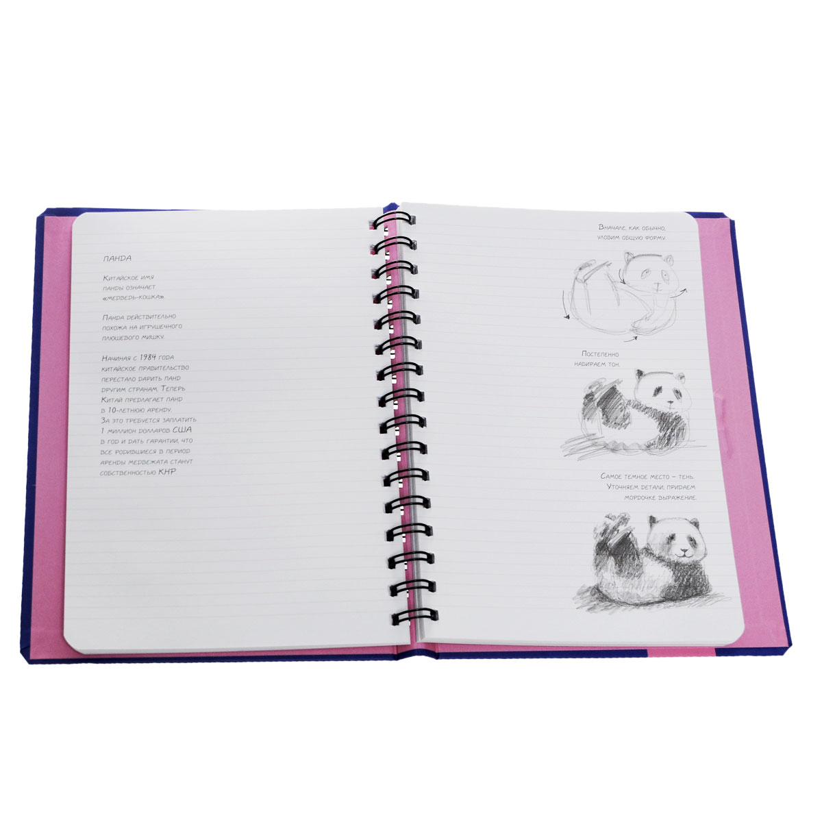 SketchBook. Животные. Экспресс-курс рисования