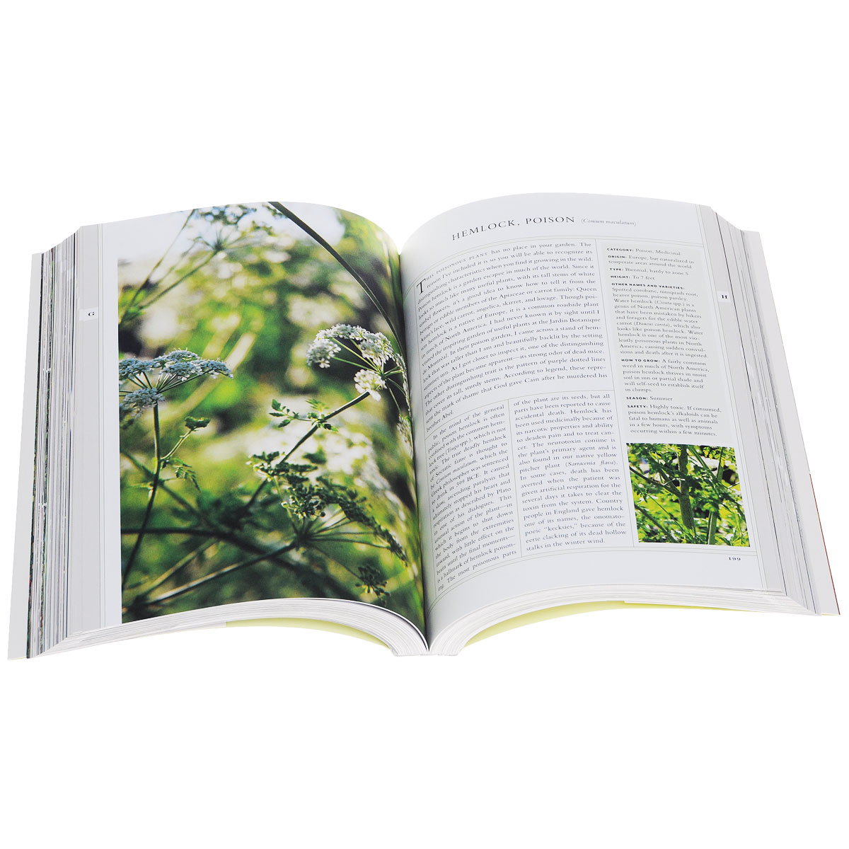 The New American Herbal