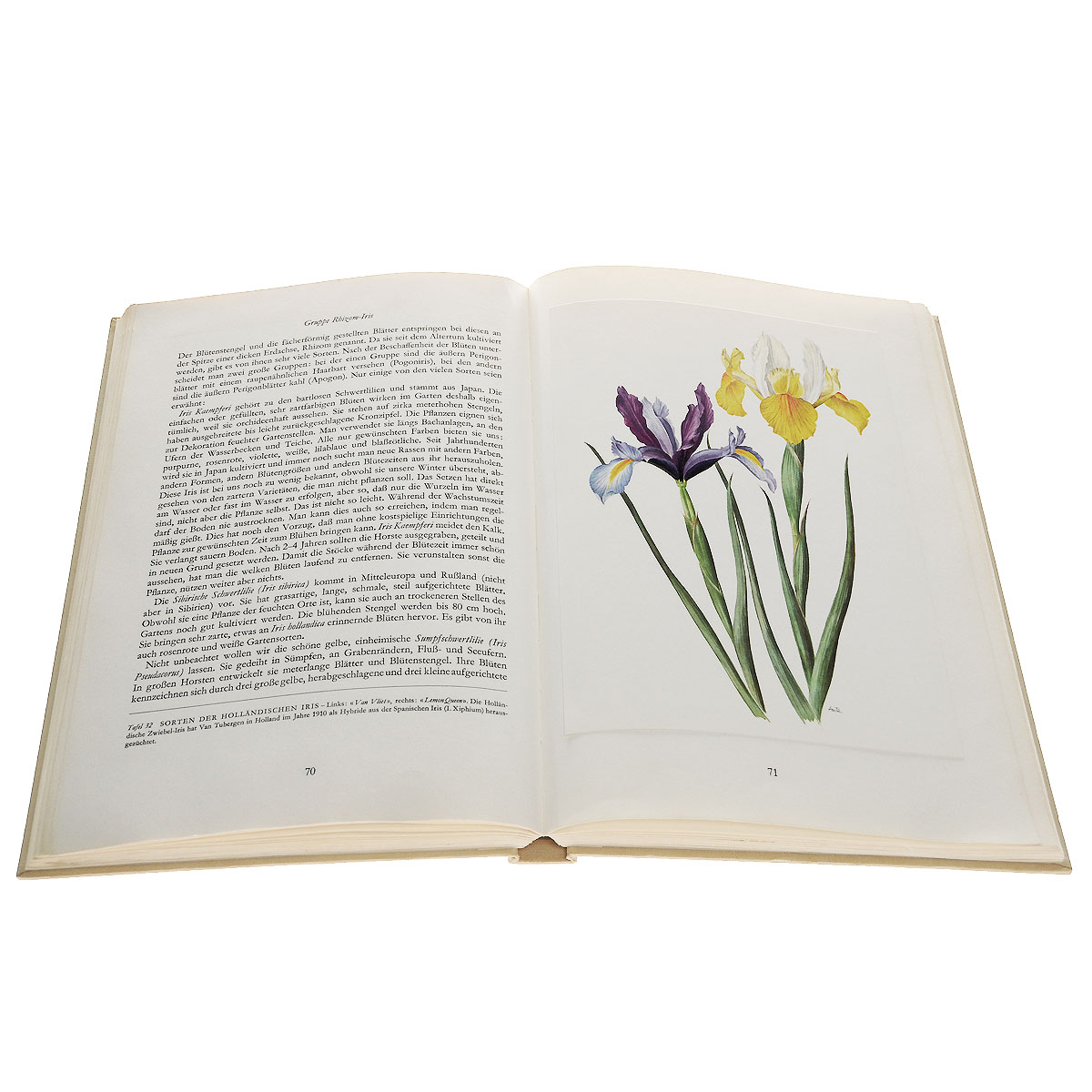Wunderwelt der Gartenblumen: Band 1: Zwiebel- und Knollenpelanzen
