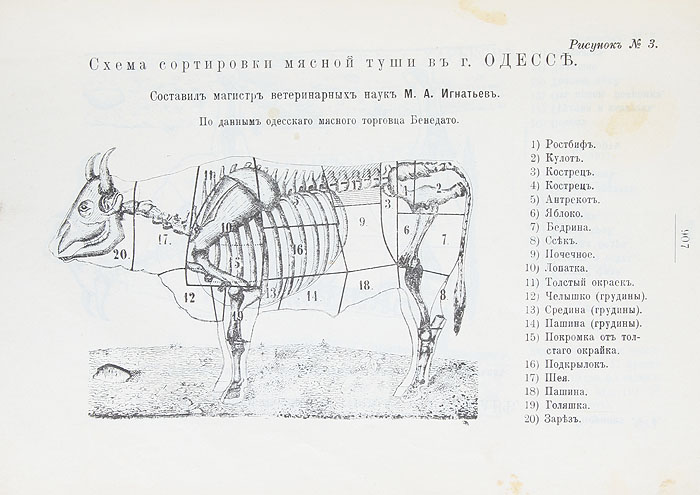 Практические основы кулинарного искусства. Руководство для кулинарных школ и для самообучения с приложением краткого популярного курса мясоведения
