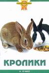 Кролики