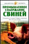 Промышленное содержание свиней