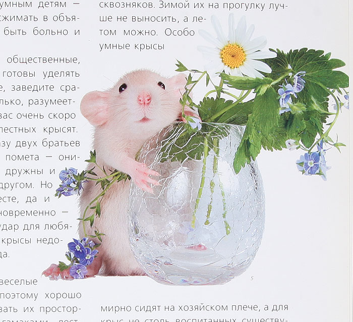 Неведомы зверюшки