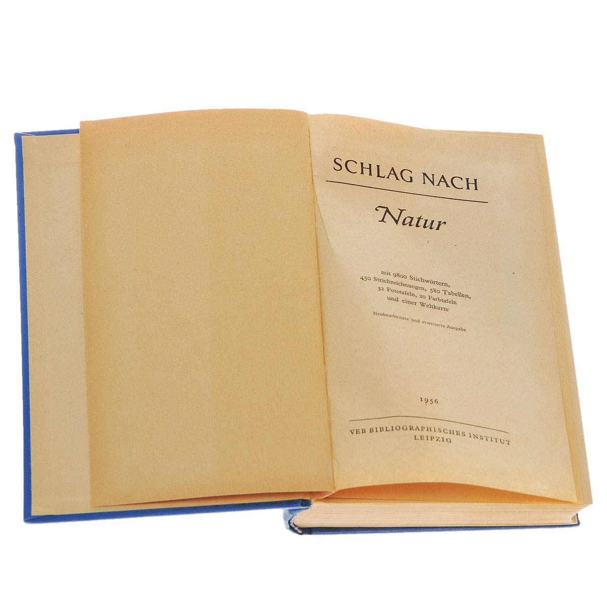 Natur Natur