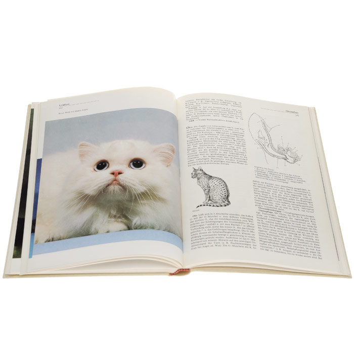 Lexikon der Katzenhaltung