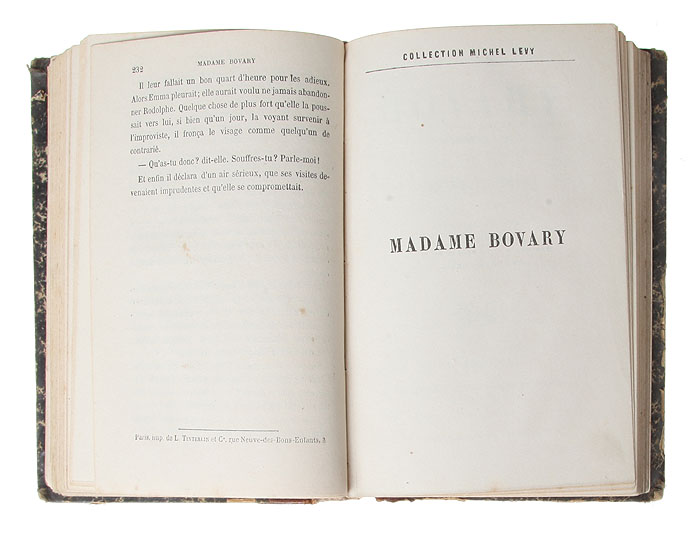 Is madame bovary a feminist novel picture