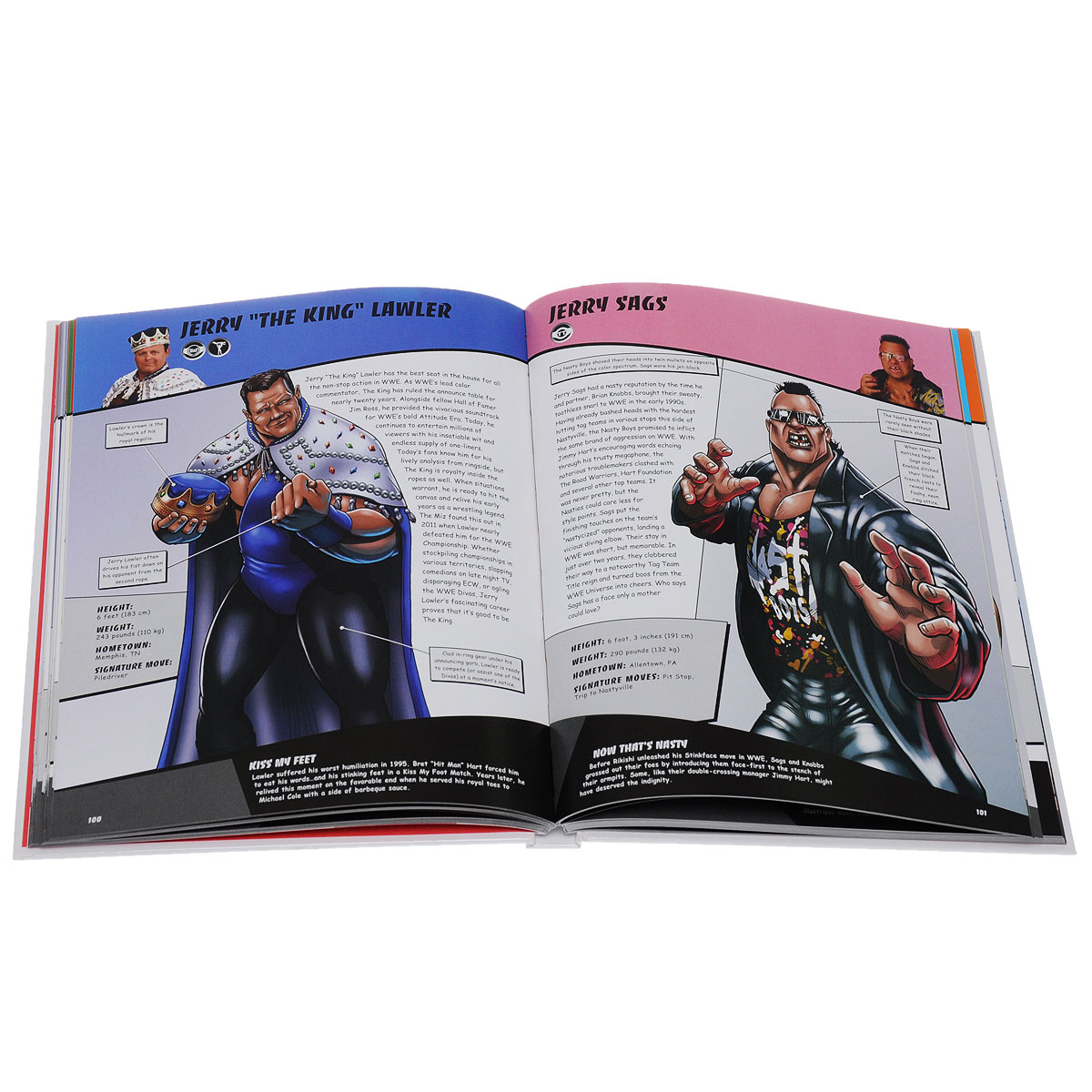 WWE Ultimate Superstar Guide