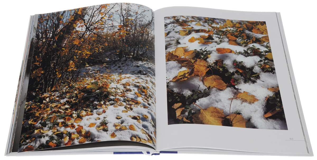 Безмолвие. Фотоэтюды природы Ямала Безмолвие. Фотоэтюды природы Ямала