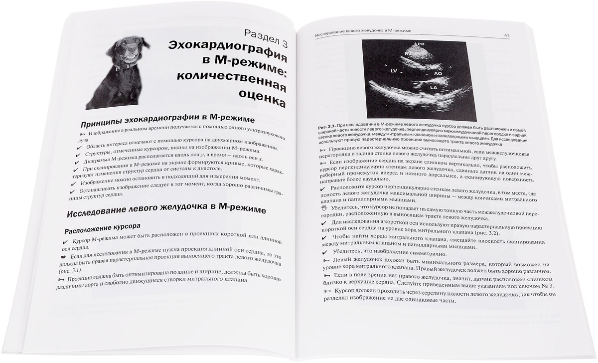 Эхокардиография в двухмерном и М-режиме у собак и кошек. Пособие для ветеринарных врачей общей практики