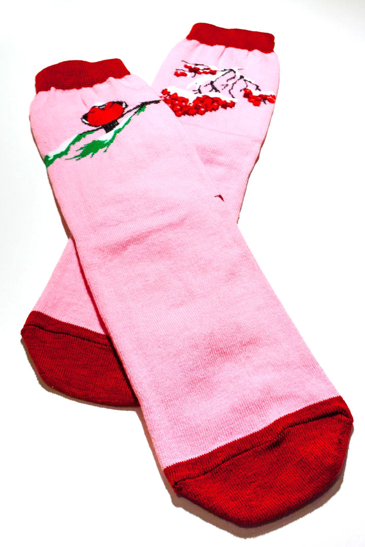 Носкиfs5123 Носкиfs5123Махровые женский носки Big Bang Socks Снегирь и рябина изготовлены из высококачественного хлопка с добавлением полиамидных и эластановых волокон, которые обеспечивают великолепную посадку. Удобная резинка идеально облегает ногу и не пережимает сосуды, а удлиненный паголенок придает более эстетичный вид. Носки оформлены красочным принтом.