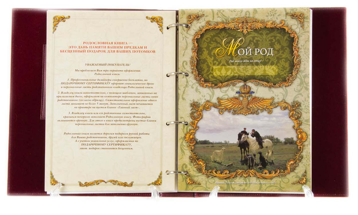 Как сделать растабайк своими руками 3