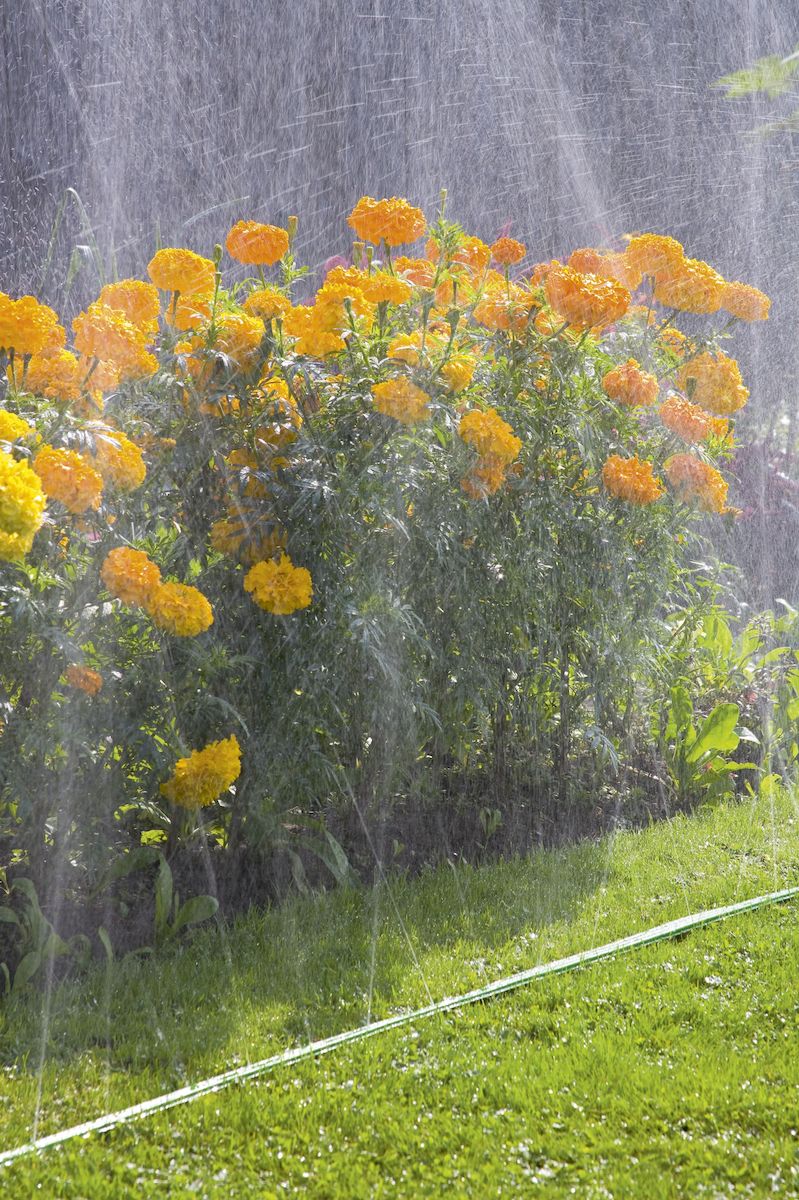 Шланг-дождеватель "Gardena", цвет: зеленый, 15 м