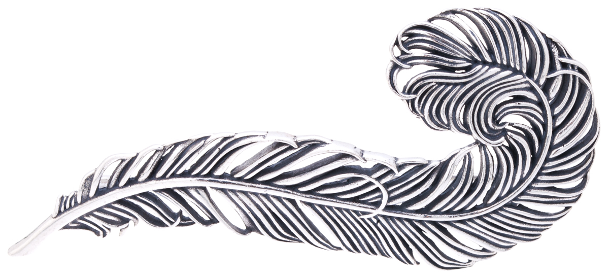 Jenavi, Коллекция Feather, Гис (Брошь), цвет - сереброf6783690 Jenavi, Коллекция Feather, Гис (Брошь), цвет - сереброf6783690Коллекция Feather, Гис (Брошь) гипоаллергенный ювелирный сплав,Черненое серебро, вставка без вставок, цвет - серебро