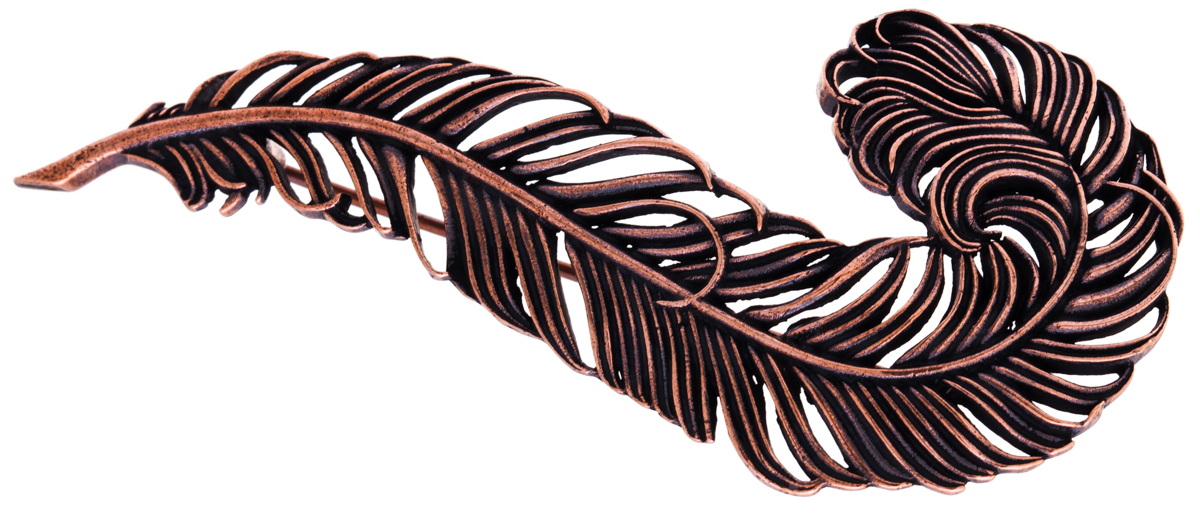 Jenavi, Коллекция Feather, Гис (Брошь), цвет - медныйf678u690 Jenavi, Коллекция Feather, Гис (Брошь), цвет - медныйf678u690Коллекция Feather, Гис (Брошь) гипоаллергенный ювелирный сплав,Медное покрытие, вставка без вставок, цвет - медный